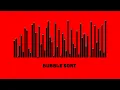 Bubble sort Visualizer Just like numbers sort your life