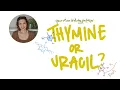Why Thymine in DNA but Uracil in RNA