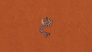 Together Pangea Money On It Acoustic 