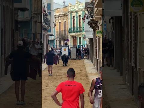 Toros Alcasser 2026