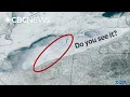 Lake Erie is 96 per cent frozen Here s why that s weird