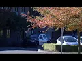 BOY SCOUT THAT FELL TO HIS DEATH WAS CORVALLIS HIGH SCHOOL STUDENT