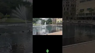 كل شيء يسبح لله مشهد خاشع ليوم الجمعة Shorts 