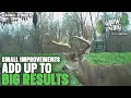 Small Habitat Improvements Make a Big Difference in Deer Hunting Success