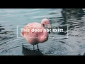 Two Another | Hoping You Changed