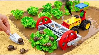 Top Most Creative DIY Mini Tractor 🐌 Powerful Snail Removal Machine for Lettuce Farm 🌱 | HP Mini