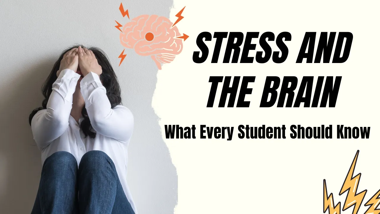 How Stress Affects Your Brain in Surprising Ways