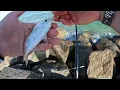 Florida Jetty Fishing (Non-Stop Bite)