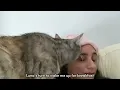 My Cat's Morning Routine | Cat Vlog 2