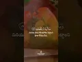 Download Lagu Surah Adh-Dhariyat 51 | verse 56-58 After Repentance