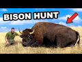 Download Lagu Ik heb op de Amerikaanse bizon gejaagd!