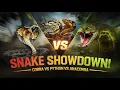 King Cobra vs Python vs Anaconda The Ultimate Snake Showdown