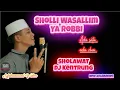 Download Lagu Sholli Wasallim Ya Robbi Sholawat Dj Kentrung Selonjoran