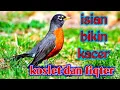 Download Lagu MASTERAN KACER ISIAN BIKIN KACER KONSLET DAN FIQTER