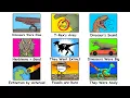 Download Lagu Every Dinosaur Myth Debunked in 11 Minutes