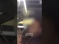 Tesla driver says he wasn t speeding his autopilot was