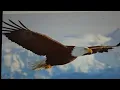 Download Lagu The Mystery of The Body \u0026 Eagles, Luke 17:37 \u0026 Matthew 24:28