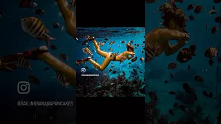 In the aquarium #sailing #underwater #travel #livingonaboat