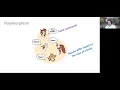 0326 Polymorphic behavior