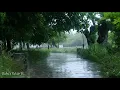 Morning Rain - Heavy Rain Sounds and Thunder in The Square for Sleep, Relax