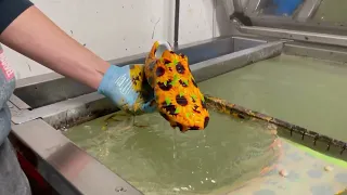 Hydro Dipping Best of #46