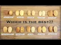 I Tested 10 Madeleine Recipes Because No One Can Agree