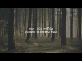Call It Dreaming | Iron & Wine | Lyrics ☾☀