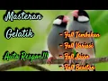 Download Lagu Masteran gelatik batu gacor full tembakan 10 variasi istimewah