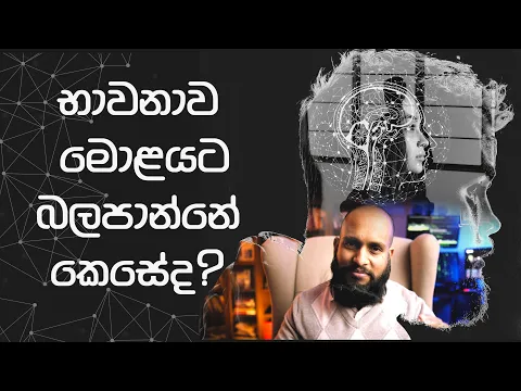 Download MP3 භාවනා කරද්දි මොළයට වෙන්නෙ මොකද්ද?