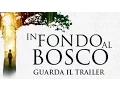 Video di IN FONDO AL BOSCO - Trailer ufficiale italiano (2015)