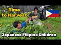 Download Lagu My Japanese Filipino Children Helping Me at the Garden | Filipino Single Father in Japan