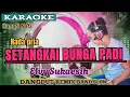 Download Lagu Karaoke setangkai bunga padi nada pria Elvi Sukaesih dangdut remix slow band