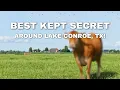 Best Kept Secret in Lake Conroe TX Calico Fresh Market