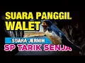 Download Lagu SUARA PANGGIL WALET | TARIK SENJA