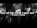 Download Lagu DJ ON THE FLOOR X WHY NOT {Slowed + Reverb}
