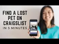 Find a lost pet on Craigslist in 5 minutes