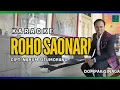 Download Lagu Dompak Sinaga - Ro Ho Saonari - Karaoke (Cover)