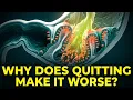 Why Do PPIs Stop Working After Long-Term Use
