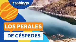 Las tradiciones rurales de Los Perales de Céspedes - Sabingo