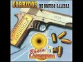 el vanidoso banda lagunera