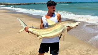 صيد القروش من الشاطئ واكشن نار 