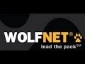 WolfNet WordPress Plugin Advanced Display Options