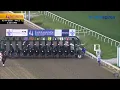 Kentucky Derby trail Paladin wears down Chip Honcho to win the Risen Star Stakes