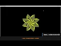 Python Turtle Graphics-12 Cool Shape Drawing Python Turtle