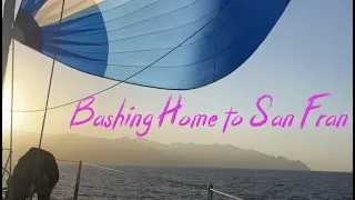 Sailing the wrong way: San Diego to San Francisco 2022 #ourladydefiant #sailing #boat #dolphin