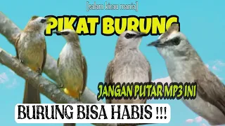 Download Suara Pikat Burung Trucukan Ampuh Terbaru 2023 || Suara Pikat Paling Dicari (bagian 1) MP3