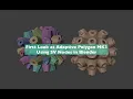 LIVENODING Quick Look at SV Adaptive Polygon MK III Node