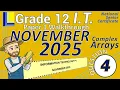 Information Technology Grade 12 Paper 1 November 2025 Question 4 - Complex Arrays