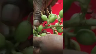 چرا هل سبز اینقدر گرونه  دندنها