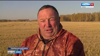 Уборочная кампания на финишной прямой